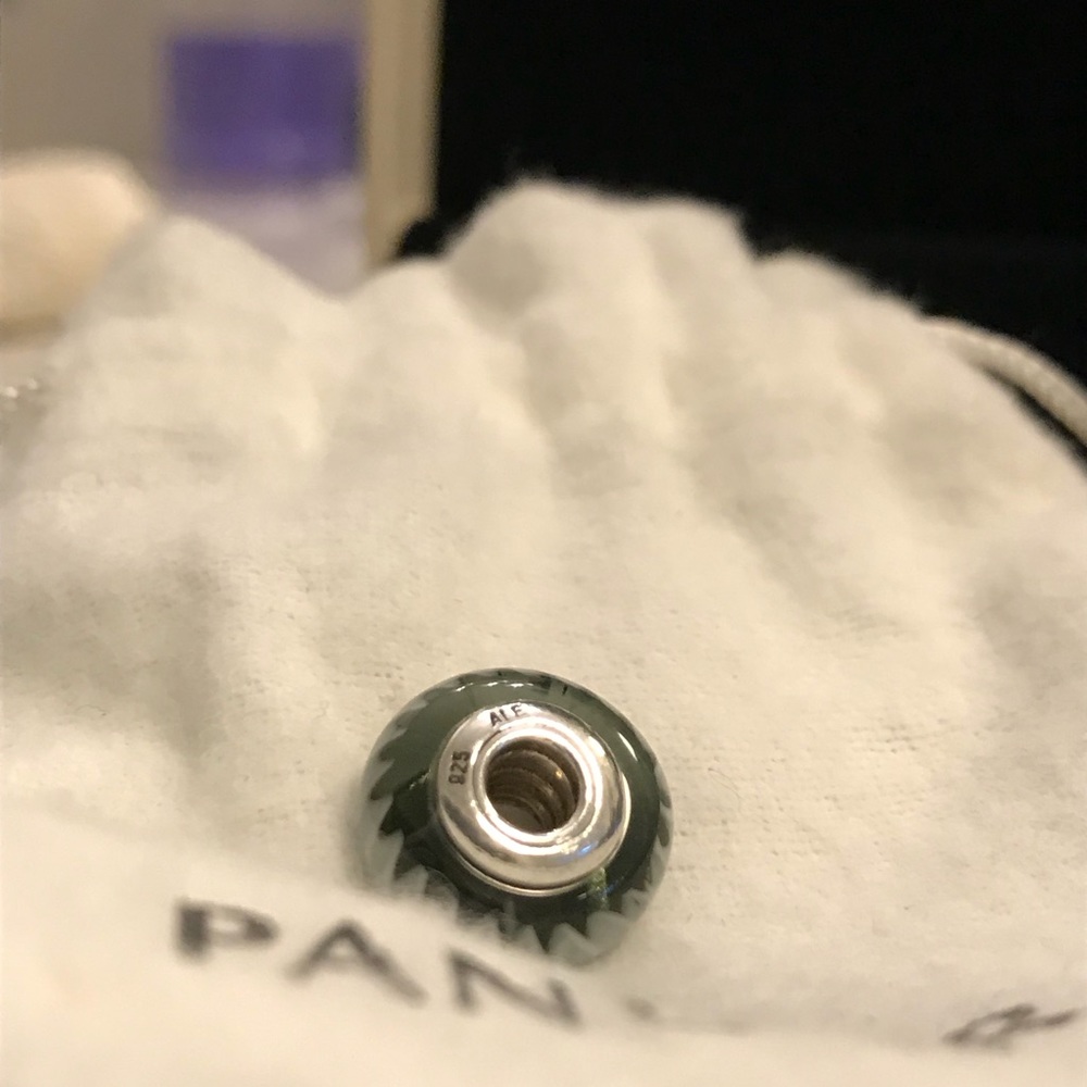 GIFTED - Authentic Pandora Murano Charm
